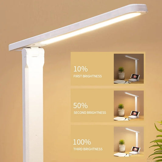 Chargeable LED Desk Lamp