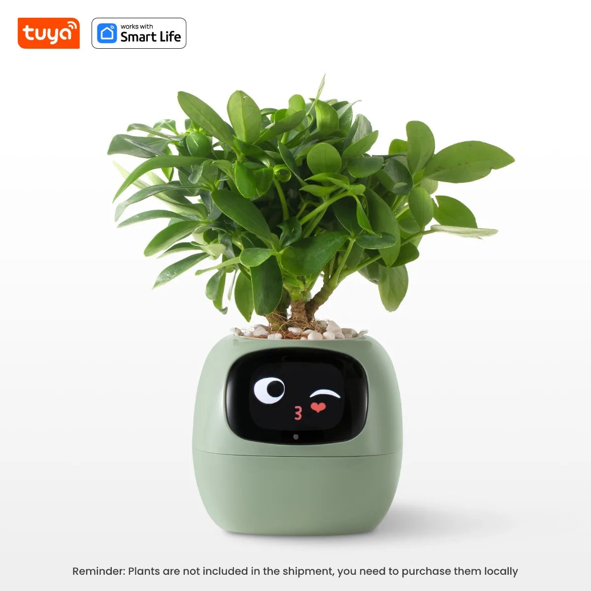 Ivy Smart Planter